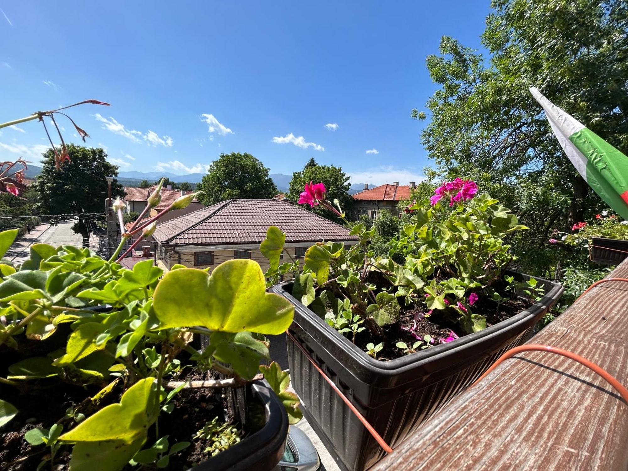 Guest House Legeto Samokov Exterior foto